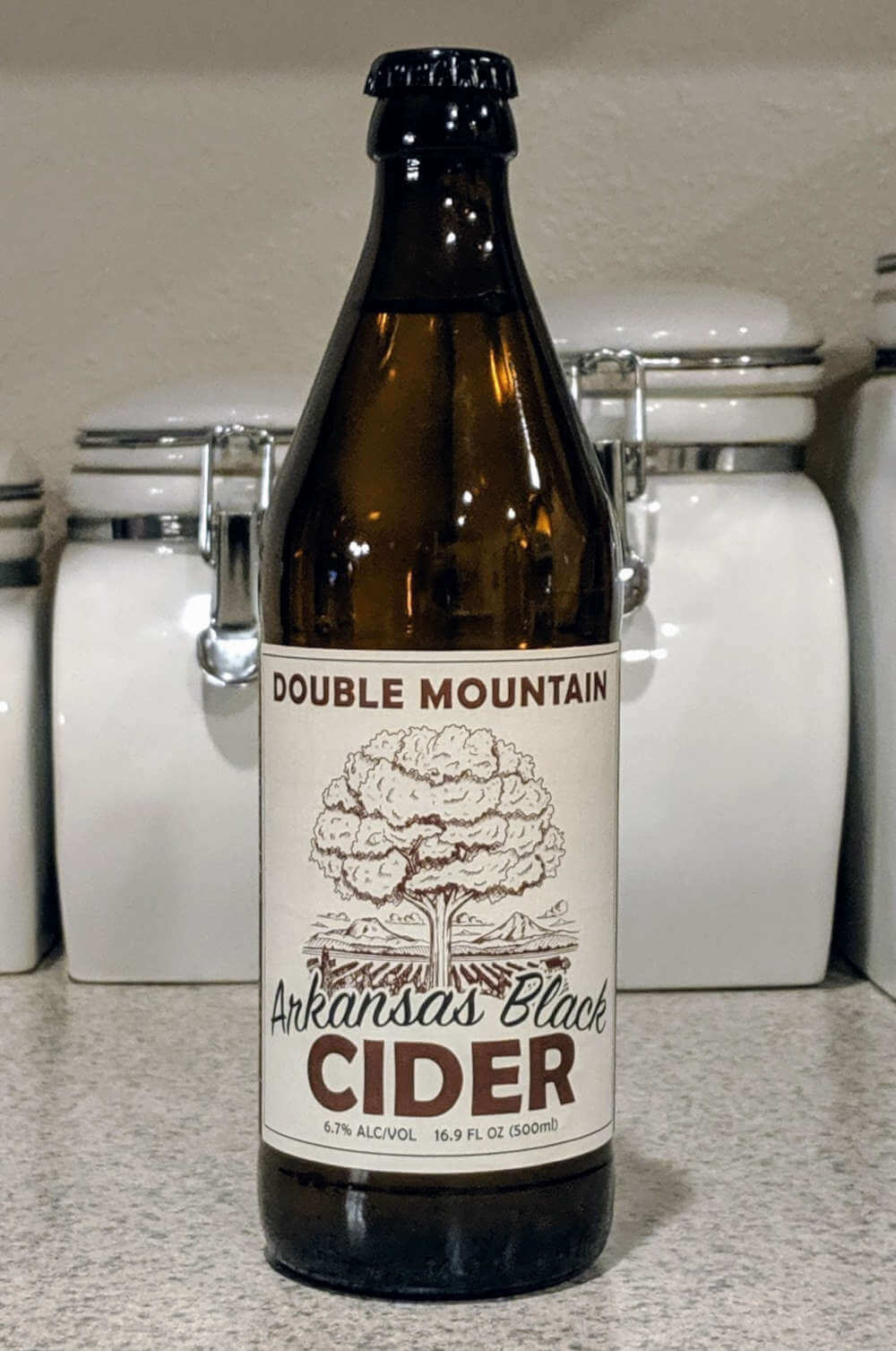Received: Double Mountain Arkansas Black Cider