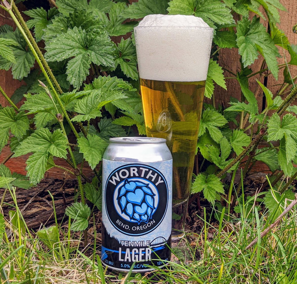Latest print article: Worthy Brewing’s new Tenmile Lager