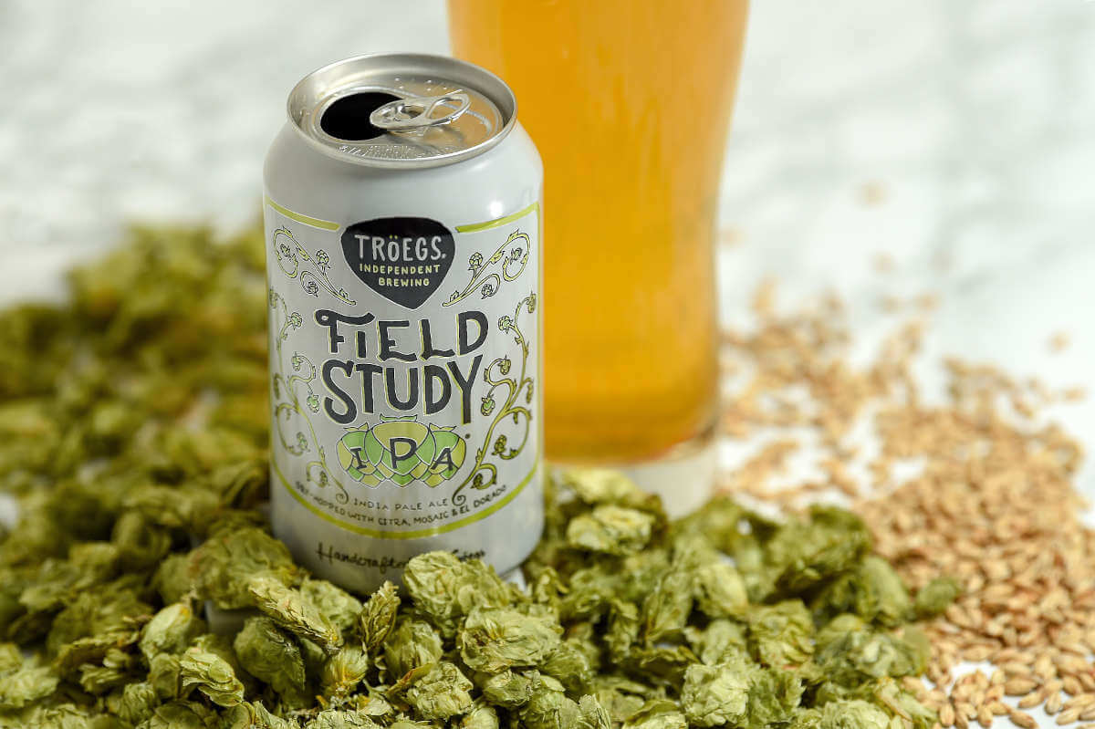 Field Study summer IPA returns from Tröegs Independent Brewing