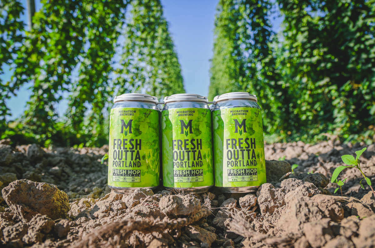 Migration Brewing set to release 5 fresh hop beers