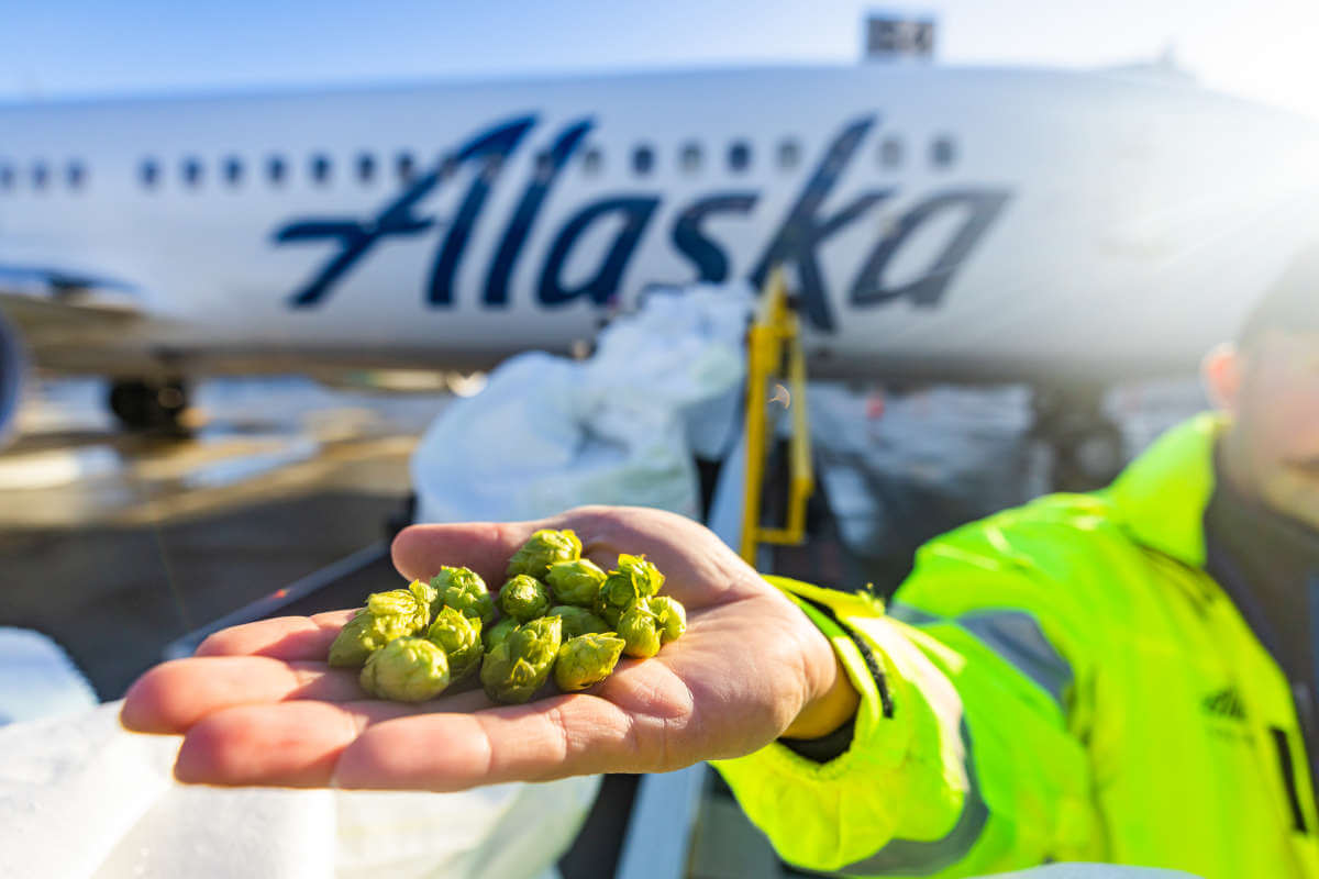 Bale Breaker Brewing flies fresh hops to Alaska, Hawaii